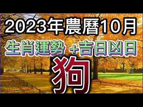 2023生肖每月運勢