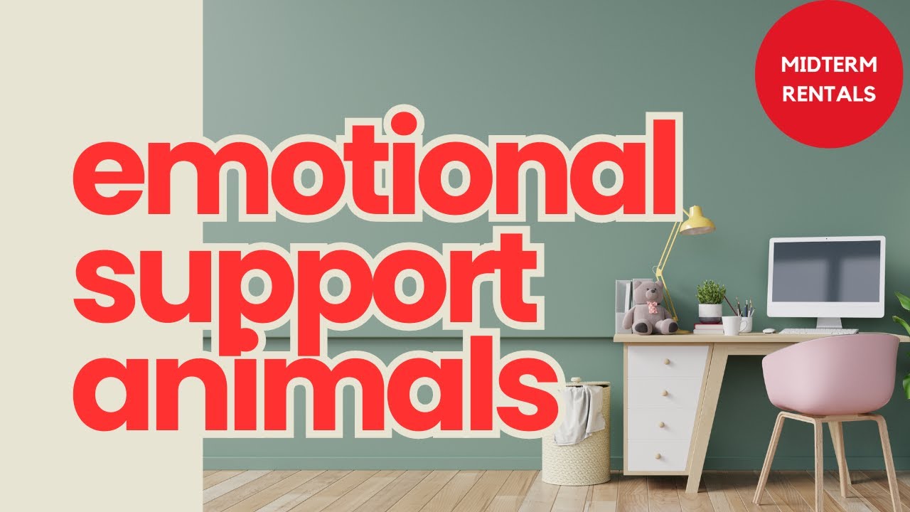 Allow Pets in Your Airbnb: The Data Says You're Losing Money If You Don't