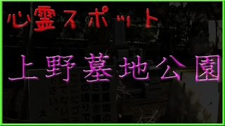 【心霊】上野墓地公園【実況】