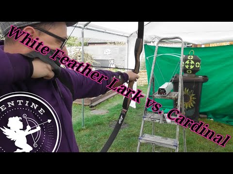 Chrony Testschießen White Feather Mod. Lark vs Cardinal