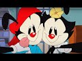 Animaniacs 2020 Zit Song But Reverse