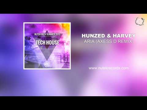 Hunzed & Harvey - Aria  (Axess D remix)