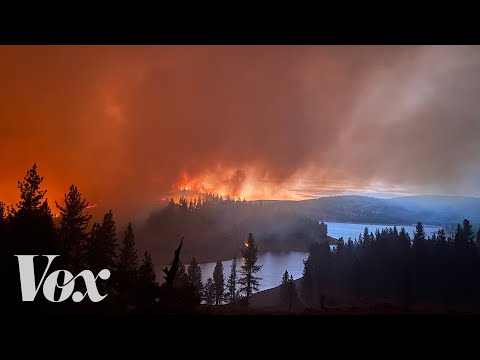 為什麼火災 "季節 "不會結束 (Why fire "season" doesn't end)