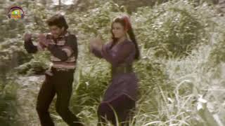 Bandham Tamil Movie HD  Mullaikodi Allikadi Video 