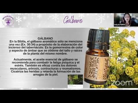 Gálbano doTERRA Galbanum spanish
