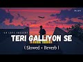 Teri Galliyon Se - Lofi (Slowed + Reverb) | Jubin Nautiyal | SR Lofi