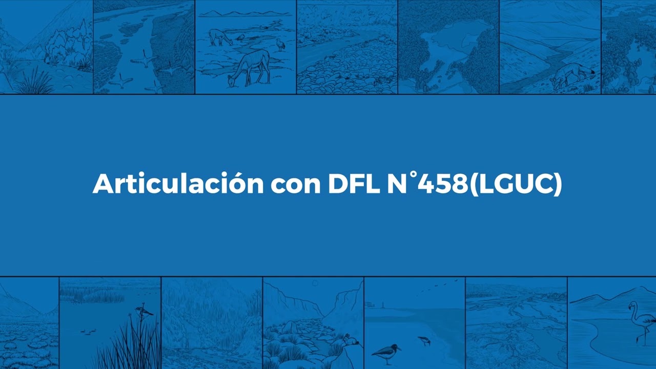 HUM2 M3V4 Articulaciones de la Ley 21 202 con otros textos normativos