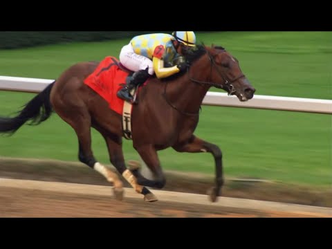 STRATEGIC RISK wins the $250.000 Smarty Jones Stakes at Oaklawn Park!