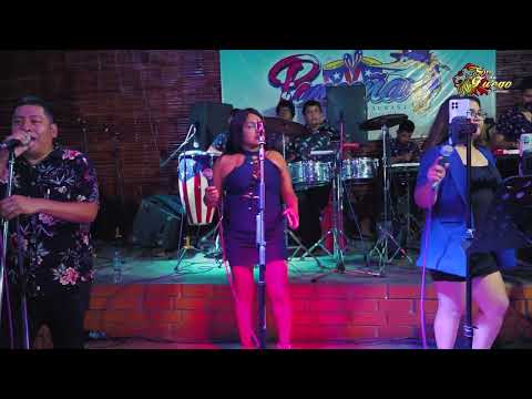 MIX AGUA BELLA- SON DE FUEGO EN CONCIERTO / MUSIC LIVE OFICIAL