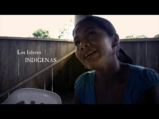 Vídeo relacionado con La Magia de la Amazonia: Las aventuras de Meromi, una niña Yanomami