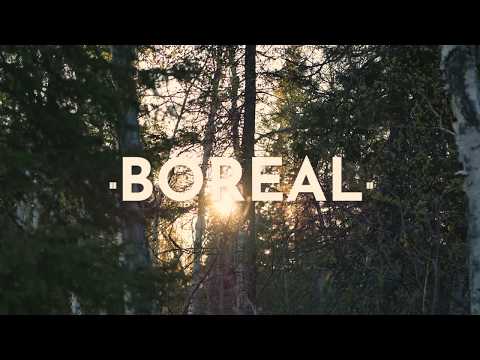 L'indécis & Ghostnaut - Boreal (Music Video)