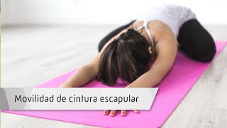 Estabilización cintura escapular Estabilización cintura escapular