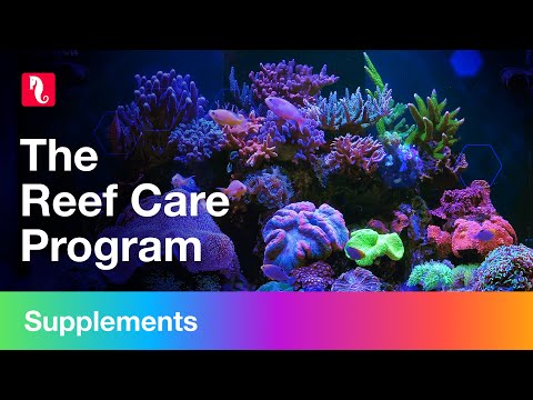 Red Sea’s Reef Care Program