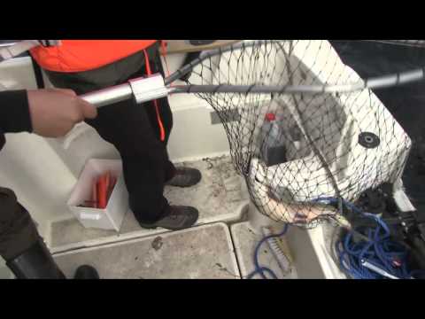 Lotta pistää paremmaksi