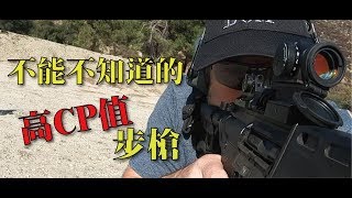 Re: [提問] 台灣陸軍突擊步槍為什麼不沿用AR氣體傳導