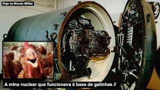 A mina nuclear que funcionava à base de galinhas