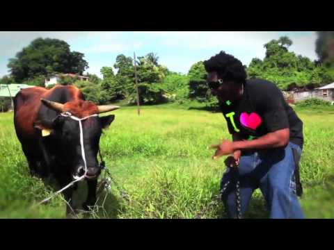 [CLIP DANCEHALL]RIDDLA-MIKA-2010