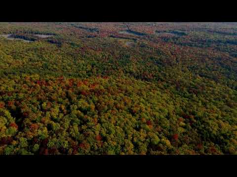 DJ BOBO,LA BOUCHE,MASTERBOY,SCOOTER,ALEXIA,ICE MC,EURODANCE, AQUA,CAPPELLA,DJ COMPANY