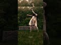 Dancing Ghost