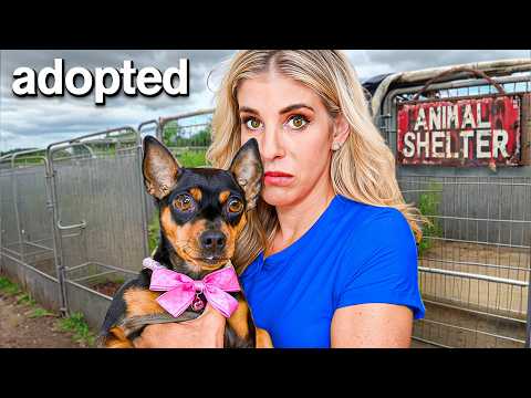 Surprising my Family with a Rescue Dog | Emotional Reunion | Heartwarming Story