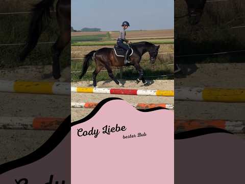 , title : 'Was ist eure Lieblings Pferderasse? 😍 #pferd #pferdevideo #shorts #reiten #cotico #pferdeliebe'
