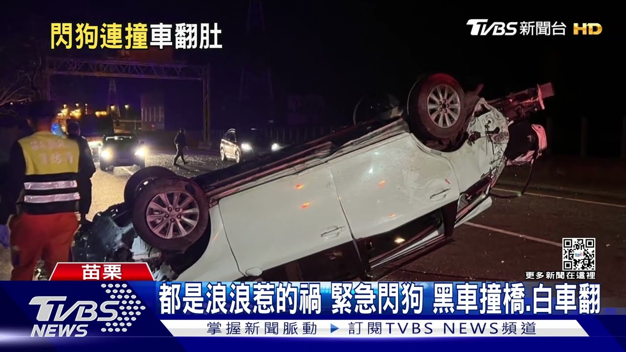 都是浪浪惹的禍!緊急閃狗 黑車撞橋、白車翻