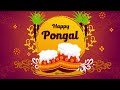 Happy Pongal Happy Pongal Greetings Whatsapp Status Motion Graphics After Effects Templates