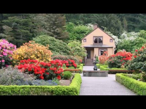 Растительность в доме снижает риск ранней смерти у женщин