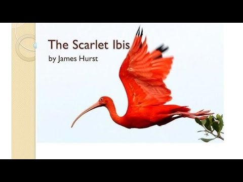 The Scarlet Ibis by James Hurst, text and audio