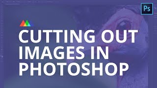 How to Cut Out Images in Photoshop