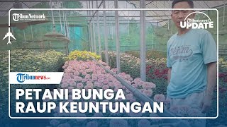 Berkah Tomohon Internasional Flower Festival, Petani Bunga Raup Keuntungan hingga Puluhan Juta