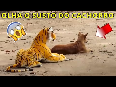 Assustando CACHORRO com TIGRE de pelucia 😱😆 | Fake Tiger vs Real Dogs Prank Very Funny