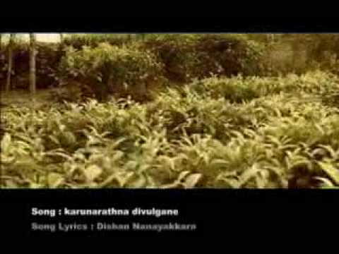 Sewanella Obe - Karunarathna Divulgane - Lyrics Dishan Nanayakkara