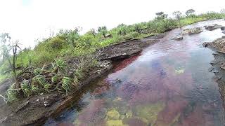 preview picture of video 'Caño cristales'