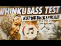 THE CAT VIBE Himxn Whinku By VEO3