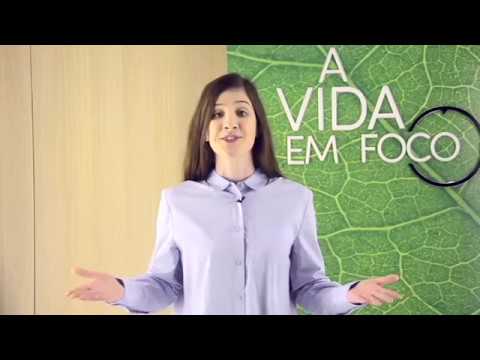 A Vida em Foco #212 - Transição Planetária