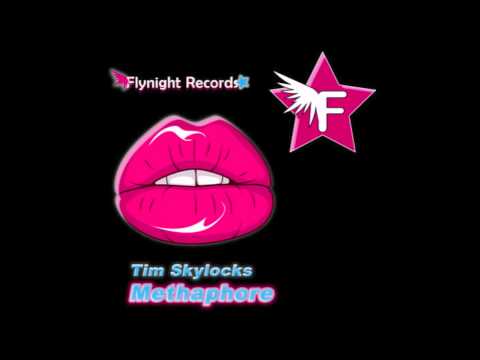 Tim Skyloc Methaphore