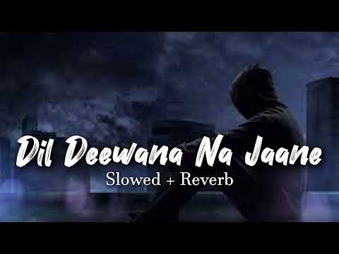 Dil Deewana Na Jane Kab ( Anuradha Paudwal,Kumar Sanu ) | Slowed And Reverb |Reverb World