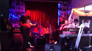The Travelling Riverside Blues Band - Johnny Slide playing mandolin