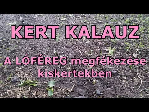 lóféreg gyógyszer jvp vagy férgek