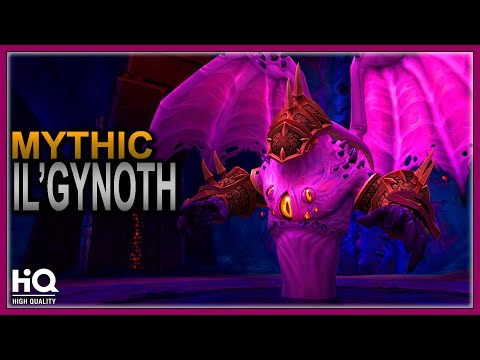 Il'gynoth mythic VS HQ Holy Paladin Ny'alotha