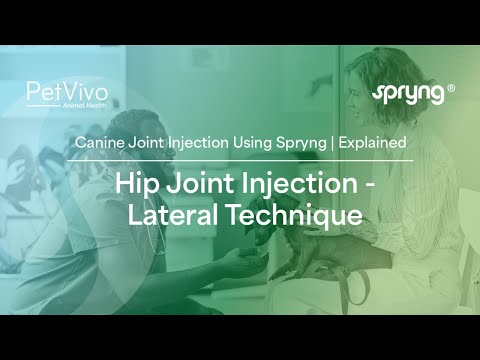 Canine Hip Joint Injections | Lateral Injection Technique Explained