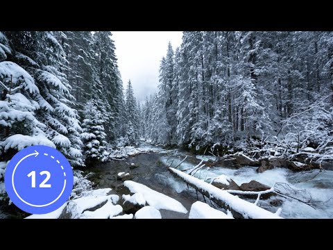 12 Hodin / Zvuky / HORSKÝ POTOK V ZIMĚ / Zvuky Přírody / Bílý šum / Zvuky na Spaní