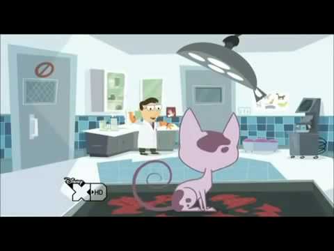 Kid vs. Kat (1x04A) - Nip/Duck