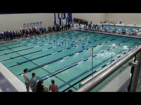 Boys Section 8AA Swimming  & Diving Day 2