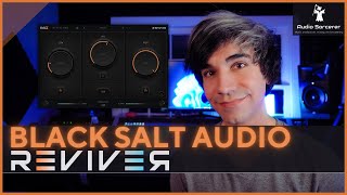 Video thumbnail for Black Salt Audio Reviver Review & Tutorial | What Does This Thing Do? by Audio Sorcerer