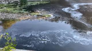 prata-principato-ultra-schiuma-nel-fiume-sabato-la-denuncia-del-comitato