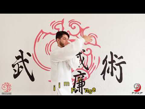 Vídeo de Associação Wei Lian de Kung Fu Wushu em Bauru, SP por Solutudo