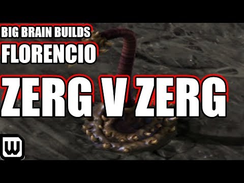 Starcraft 2 BIG BRAIN Builds | Florencio BREAKS ZERG VS ZERG