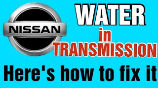 Water in Nissan transmission | Pathfinder, Xterra, Frontier
